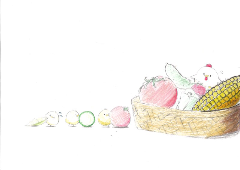 ひよこと夏野菜