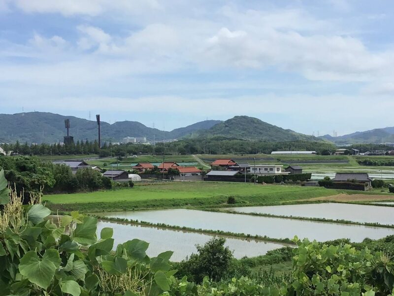 田舎っていいな