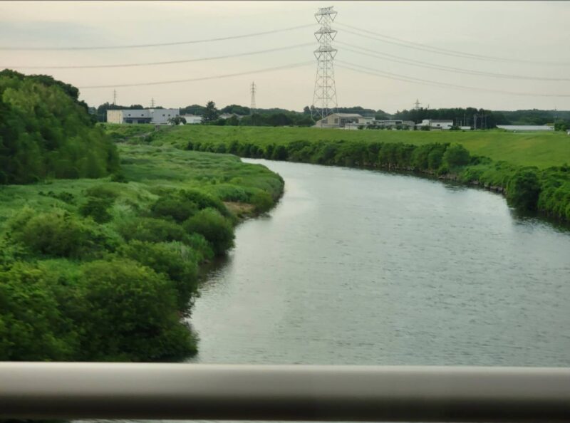 しぜんがゆたかな川