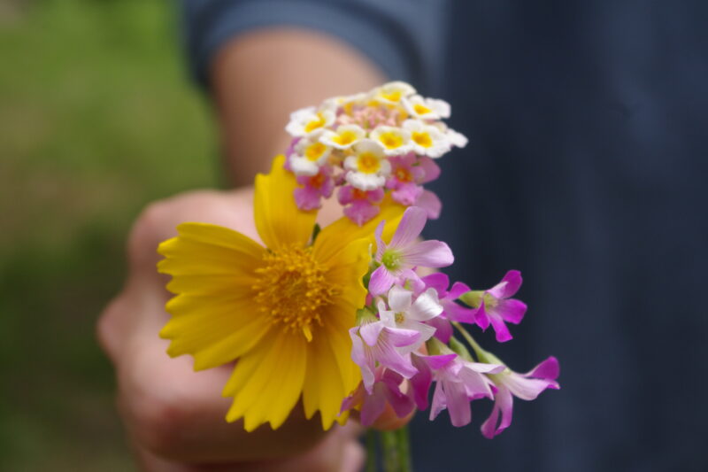 お花